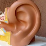 Menièrova choroba může mít následek trvalé hluchoty