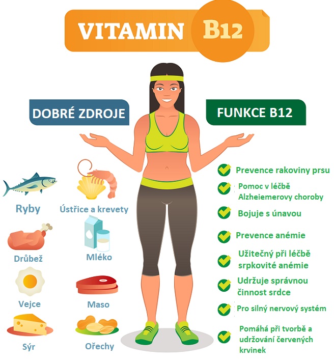 Vitamín B12 - ilustrace