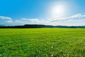 Vitamín D a jeho zdroje v potravinách