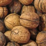 Vlašské ořechy – super pro Váš mozek i zdraví