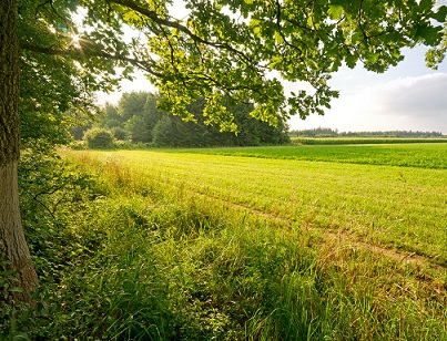 Běhání v horku vám může způsobit zdravotní potíže. Přečtěte si naše tipy..