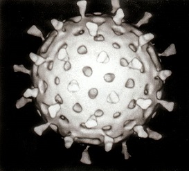 Takto vypadá rotavirus na počítačovém modelu...