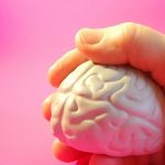 100 úžasných zajímavostí o mozku
