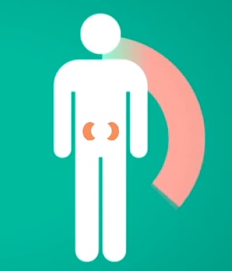 Nejčastější nemoci ledvin a jejich příznaky