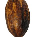 Kakaové boby a zdraví – plné vitamínů a minerálů