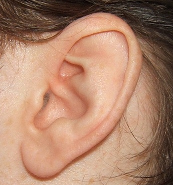 Za normálních okolností nelze na ušním boltci zjistit žádné reflexní projevy, objevují se pouze tehdy, jestliže z organismu přicházejí signály, že něco není v pořádku.