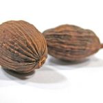 Muškátový ořech a zdraví – na zanícené dásně, usínání i revmatismu