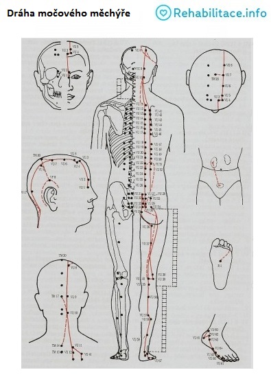 draha-mocoveho-mechyre