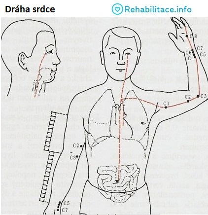 draha-srdce