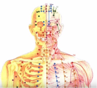 Meridiánové masáže a meridiánové body (meridiány) a jejich mapa v lidském těle