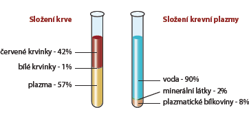 Krevní plazma jaké má složení? A co dárcovství plazmy?