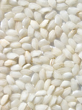 Rýže je velmi bohatá na kyselinu linoleovou a skvalen