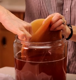 kombucha