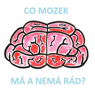 Co mozku škodí a co mu prospívá?