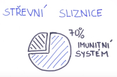 Vliv střevních mikroorganismů na lidské zdraví