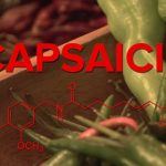 Kapsaicin (Capsaicin) a zdraví – kdy nám může pomoci?