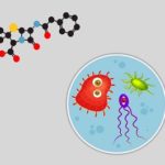 Antibiotika a nejčastější mýty – co je na nich pravda?