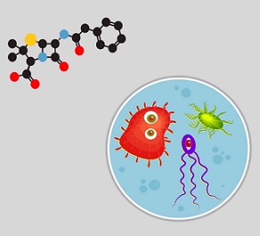 Antibiotika a mýty - co je pravda a co lež?