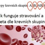 Dieta dle krevních skupin: Stravujete se tak, jak je vám přirozené?