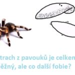 Divné, zvláštní a neobyčejné fóbie – znáte tyto?