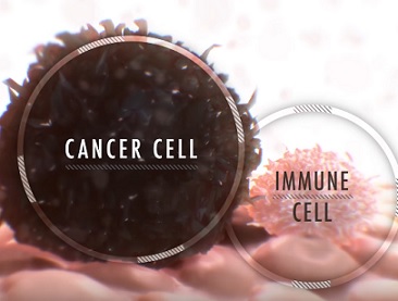Imunoterapie a rakovina