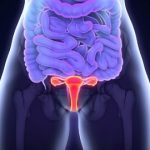 Lunární cyklus ženy – využijte proměny během menstruačního cyklu ve svůj prospěch