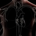 Angina Pectoris (angina pektoris) – příznaky, příčiny a léčba