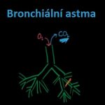Bronchiální (průduškové) astma – příznaky, léčba