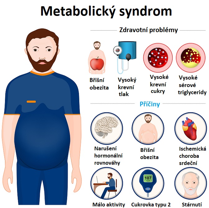 Metabolický syndrom - ilustrace