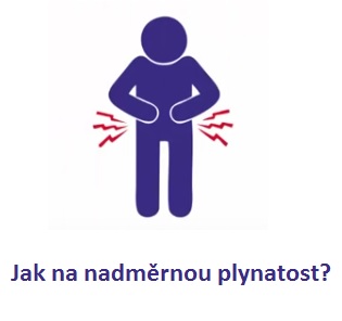 Nadměrná plynatost