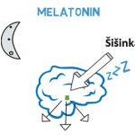 Melatonin a zdraví – nejen pro lepší spánek – na co ještě?