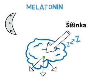 Melatonin a zdraví