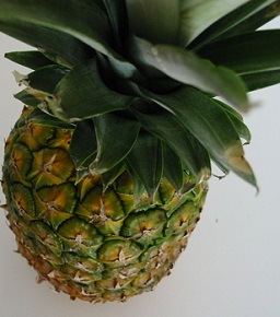 Silným přírodním zdrojem Bromelainu je ananas.