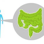 Detoxikace střev – TOP 10 domácích metod a receptů