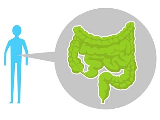 Jak na detoxikaci střev doma?