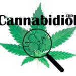 Kanabidiol (Cannabidiol, CBD) a zdraví – jaké má účinky?