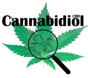 Co našemu zdraví může přinést Cannabidiol?