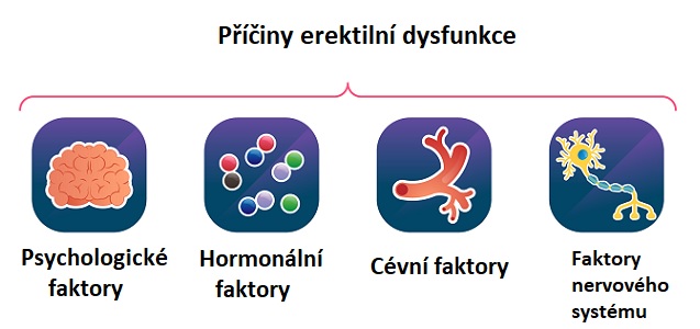 Časté příčiny erektilní dysfunkce - ilustrace