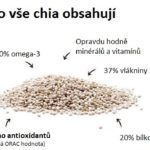 Co chia semínka obsahují z nutričního hlediska?