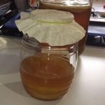 Kombucha – cesta ke zdraví a dlouhověkosti