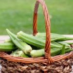Okra (Ibiškovec jedlý) a jeho zdravotní benefity