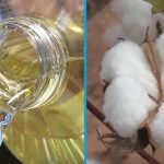 Bavlníkový olej (olej z bavlníkových semen) – na jídlo ne, na pokožku ano