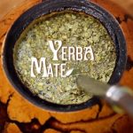 Čaj Yerba Maté – to je zdravá energie, alternativa kávy