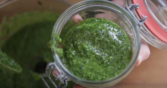 Takto krásně může vypadat pesto z medvědího česneku.