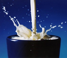 Mléčné výrobky mají své klady i zápory - jaké?