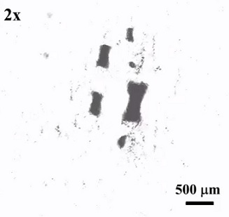 Nanoroboti jsou schopni napodobovat rojovité chování.