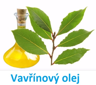 Vavřínový olej - jak může být prospěšný pro vaše zdraví?
