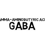 Kyselina gama-aminomáselná (GABA) – jaké má v těle funkce?
