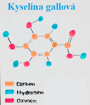 Kyselina gallová je organická kyselina, která se nachází v duběnkách, ořeších, dubové kůře, čajových lístcích a v dalších rostlinách.