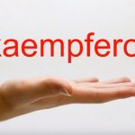 Kaempferol a jeho účinky a přínosy pro naše zdraví